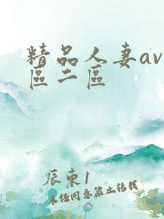 精品人妻av一区二区