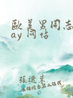 欧美男同志 gay 网站