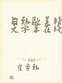 日韩欧美精品中文字幕在线观看完整版