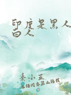 印度是黑人还是白人