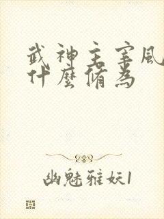 武神主宰风少羽什么修为