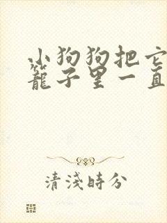 小狗狗把它关在笼子里一直叫怎么办