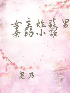 女主姓苏男主姓秦的小说