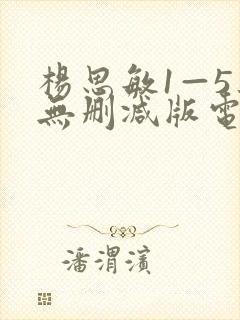 杨思敏1—5集无删减版电视剧