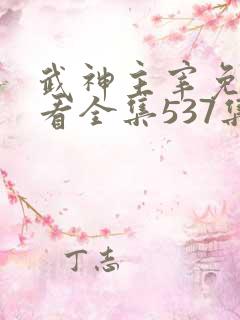 武神主宰免费观看全集537集