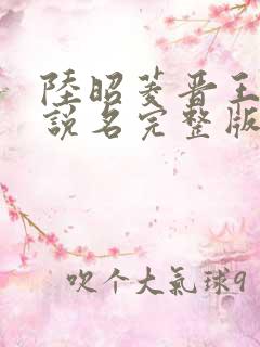 陆昭菱晋王的小说名完整版