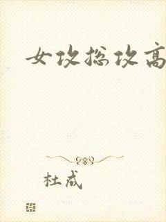 女攻总攻高h