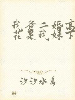 我爸二婚高冷校花是我妹下载