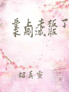 爱上老板了韩剧未删减版