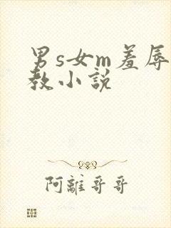 男s女m羞辱调教小说