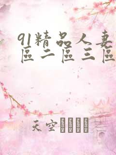 91精品人妻一区二区三区蜜桃2