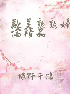 欧美熟熟妇乱子伦精品