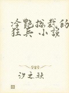 冷艳总裁的贴身狂兵 小说