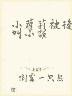 小萝莉被后入狂叫小说