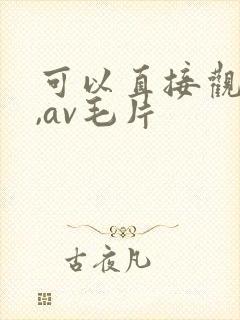 可以直接观看的,av毛片