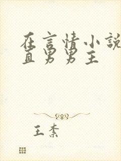 在言情小说里撩直男男主