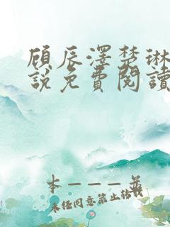 顾辰泽楚琳薇小说免费阅读最新章节