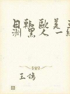 日韩 欧美 亚洲 黑人 一级