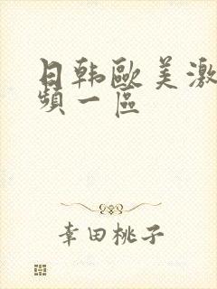 日韩欧美激情视频一区