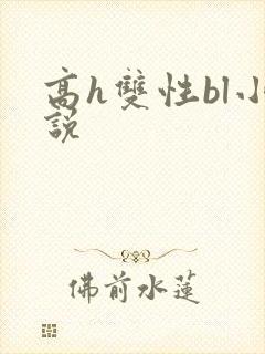高h双性bl小说