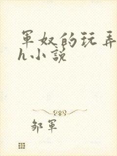 军奴的玩弄调教h小说