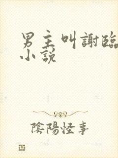 男主叫谢临渊的小说