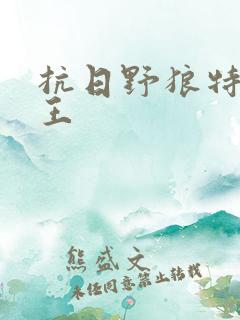 抗日野狼特战兵王