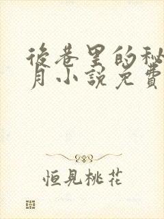 后巷里的秘密白月小说免费阅读