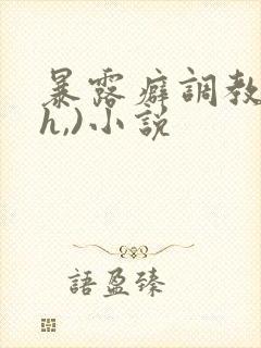 暴露癖调教(高h,)小说