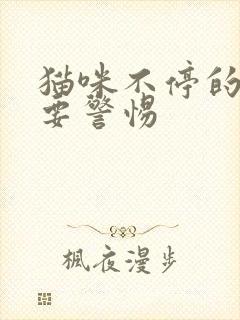 猫咪不停的踩奶要警惕