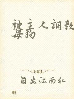 被主人调教的骚母狗