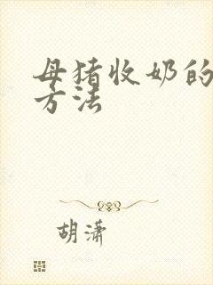 母猪收奶的最快方法