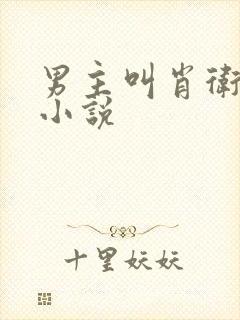 男主叫肖卫国的小说