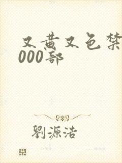 又黄又色禁片1000部