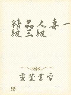 精品人妻一级二级三级