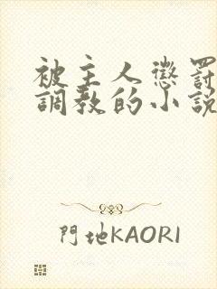 被主人惩罚玩弄调教的小说