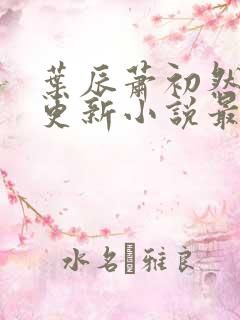 叶辰萧初然最快更新小说最新章节