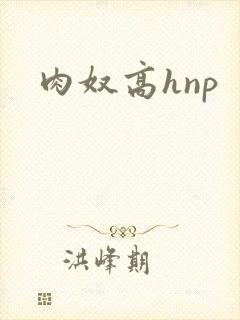 肉奴高hnp