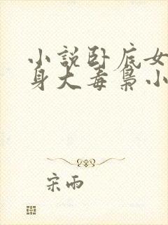 小说卧底女警献身大毒枭小说