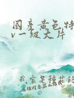 国产黄色特黄av一级大片