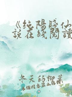 《纯阳贱仙》小说在线阅读