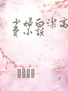 少妇白洁高义免费小说