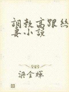 调教高跟丝袜人妻小说