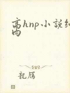 高hnp小说纯肉