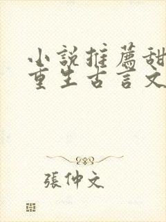 小说推荐甜宠文重生古言文