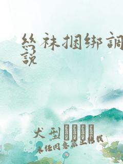 丝袜捆绑调教小说