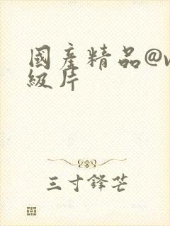 国产精品@v一级片