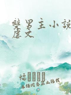 双男主小说推荐虐文