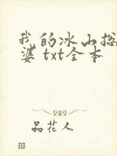 我的冰山总裁老婆 txt全本