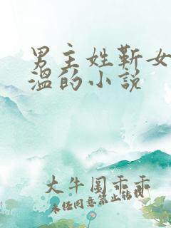 男主姓靳女主姓温的小说